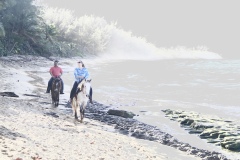 Horse ride on the beach